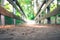 Adventures journey, self discovery: Wooden bridge in the forest, blurry background