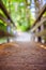 Adventures journey, self discovery: Wooden bridge in the forest, blurry background