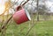 Adventures in the wild. Travel mug hangs on tree branch in spring sunny day,