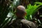 Adventurous Bald man jungle. Generate AI