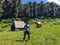 Adventurous camper strikes a pose at Nag Tibba\\\'s basecamp amidst meadows