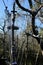 Adventurous Girl Having Fun on Treetop Obstacle Course