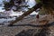 Adventurous girl hiking Juan de Fuca Trail to Chin Beach