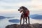 Adventurous little hiking dog on top of a mountain