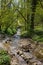 Adventurous natural hiking path in the forest alongside a stream with a crossing in South Limburg near Elsloo