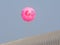 An advertisement balloon of the first ever pink ball, day and night Test cricket