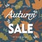 Advertising banner with the concept of autumn sale, against the background of leaves of different trees and colors. Important info