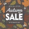 Advertising banner with the concept of autumn sale, against the background of leaves of different trees and colors. Important info