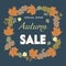 Advertising banner with the concept of autumn sale, against the background of leaves of different trees and colors. Important info