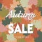 Advertising banner with the concept of autumn sale, against the background of leaves of a tree of different colors