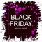 Advertising on Black Friday with pink leaves and ragged edges on white background