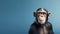 Advertising portrait, banner, black chimpanzee looks straight, isolated on blue background