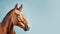 Advertising portrait, banner, noble expensive brown horse with perfect coat, simple look,  on neutral blue-gray