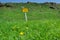 Advisory sign in middle of farmland