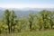 Adygea, mountain landscape in spring. In the background of the main Caucasian ridge