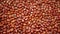 Adzuki beans plant detail, azuki red mung bean pulses healthy nutrition, superfood. China Himalayas is popular Asia shop