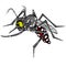 Aedes Aegypti Illustration