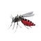 Aedes Mosquito on white background