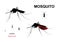 Aegypti Mosquito Vector Icon, Gnat Bloodsucking Insect Sign