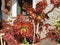 Aeonium arboreum plant with red flowers