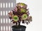Aeonium Succulent Plant