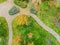Aerail view of walk path between multicoloroed bright vibrant garden tree first fallen dry leaves on green grass lawn at