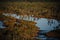 Aeral shot of a little swamp surrounded with trees