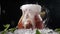 aerated cold water being poured in transparet jar with sliced lime, berries and ice cubes. Slow motion. Bartender making