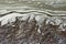 AERATED FOAM ON THE MUDDY VERGE OF A MINERAL LAKE IN A METEORITE CRATER