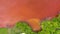 Aerial 4k drone view of colorful red copper mining waste water in contrast with fresh green forest