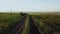 AERIAL. 4K. flight over the fields at sunset. Beautiful scenery with fields and trees at sunset of the day.