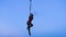 Aerial acrobat woman demonstrates tricks.