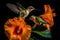 Aerial acrobats, majestic hummingbird feeding on hibiscus flower beautiful wildlife photography. Generative AI