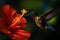 Aerial acrobats, majestic hummingbird feeding on hibiscus flower beautiful wildlife photography. Generative AI