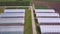 Aerial agricultural view of lettuce production field and greenhouse. Clip. Top view of the greenhouse