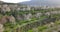 Aerial of almond tree garden on a slopes of Troodos mountains, Cyprus at sunset