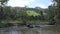 Aerial amazing view of beautiful elephants taking bath in the river