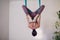 Aerial antigravity yoga concept. Woman practicing fly yoga in anti-gravity yoga studio using green hammock.