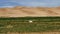 Aerial around view on yurt near sand dunes