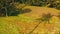 Aerial back view of woman on the swinging over beautiful rice fields background