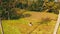 Aerial back view of woman on the swinging over beautiful rice fields background