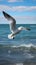 Aerial ballet Seagull glides over the expansive and serene sea