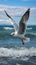 Aerial ballet Seagull glides over the expansive and serene sea