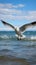 Aerial ballet Seagull glides over the expansive and serene sea