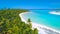 AERIAL: Beautiful view of untouched sandy beach and lush palms in Cook Islands.