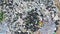 Aerial: Big Garbage Dump Background. HD Slowmotion Drone Shot. Thailand.
