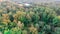 Aerial bird view over beautiful temperate coniferous forest over top of trees showing the amazing different green pine