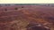 Aerial of the blooming heather before sunrise.