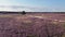 Aerial Blooming Purple Heather at the end of summer