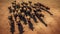 Aerial Buffalo Herd: Majestic Wild West Landscape From Above